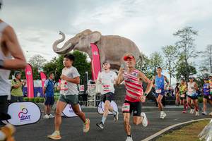 BIB: 
                            <button type="button" onclick="openModal(26528281)" class="btn btn-primary btn-sm float-right btn-popup" data-toggle="modal" data-target=".modal-high-quality">
                        <i class="fas fa-shopping-cart"></i> Add to Cart
                    </button>
                                            <button type="button" onclick="isThisMe(26528281, true)" class="btn btn-success btn-sm float-right btn-popup btn-isme hidden" data-toggle="tooltip" data-placement="bottom" title="นี่คือรูปของคุณใช่ไหม คลิกที่นี่เพื่อเอาเข้าอัลบั้ม">
                        <i class="fas fa-plus"></i> Add to album
                    </button>
                    <button type="button" onclick="isThisMe(26528281, false)" class="btn btn-warning btn-sm float-right btn-popup btn-isnotme hidden">
                        <i class="fas fa-ban"></i> Remove from album
                    </button>